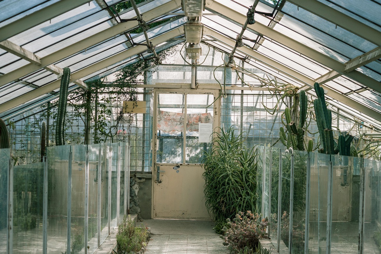 Serre en verre guide